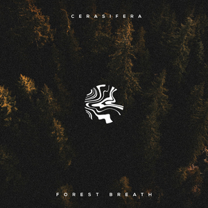 猎奇小屋app官网入口下载
