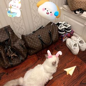 猎奇小屋app官网入口下载
