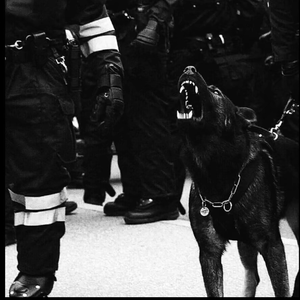 猎奇小屋app官网入口下载
